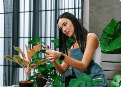 Green Living and Wellness: A Modern Guide to Living Well, Living Green