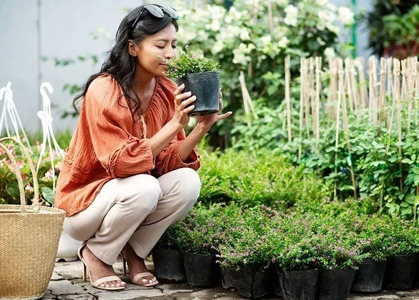 Urban Gardening 101: The Complete Beginner's Guide